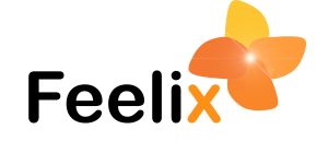 FEELIX-logo