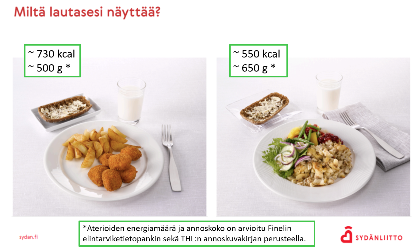 Miltä Lautasesi Näyttää Muokattu Miltä Lautasesi Näyttää Muokattu